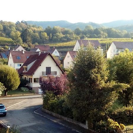 Marcia Donatti - A L'Ombre Des Coteaux Sao Paulo Hotel Kaysersberg-Vignoble Exterior photo