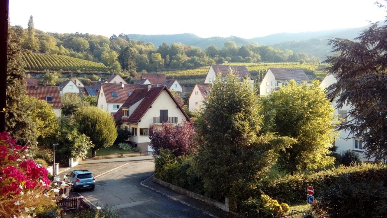 Marcia Donatti - A L'Ombre Des Coteaux Sao Paulo Hotel Kaysersberg-Vignoble Exterior photo