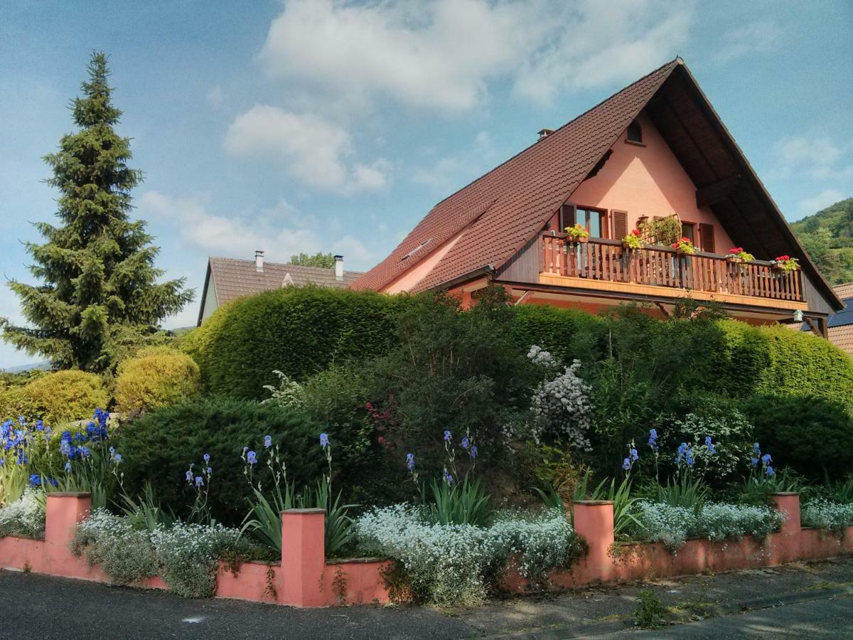 Marcia Donatti - A L'Ombre Des Coteaux Sao Paulo Hotel Kaysersberg-Vignoble Exterior photo